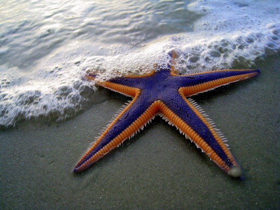 I Thank My Lucky Star