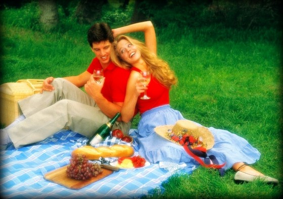 The Picnic