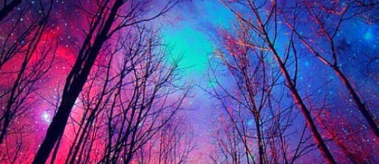 Under Our Heavenly Canopy