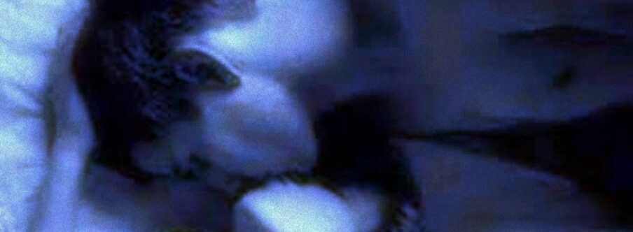 Every Night, Our Promise