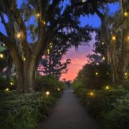 Our Summer Serenade